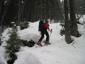 Aufstieg zur Teicheneggalm bei leichtem Schneefall