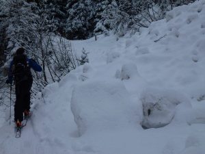 Mächtige Schneerutsche am Weg zum Lochalpl