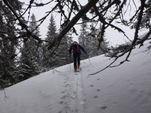 Aufstieg von der Bichlerhütte zur Grabnerspitze