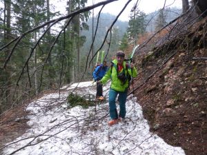 Viel Totholz nach dem Eisregen in den slowenischen Wädern