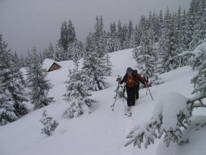 Durch die tief winterliche Landschaft von der Teicheneggalm zum Teicheneggsattel