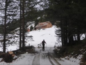 Aufstieg am eisigen Forstweg im Bretsteingraben