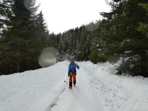 Die letzten Bergauf - Meter mit geschulterten Skiern zurückgelegt