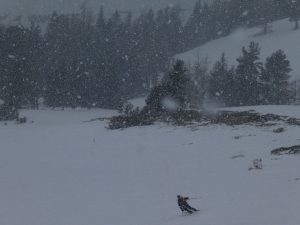 Dichter Schneefall im Bereich oberhalb der Baumgrenze
