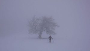 Im Nebel vorbei am Wetterbaum auf der Grafenalm