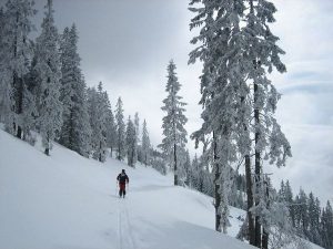 Auf dem zugeschneiten Forstweg zurück zur Brunnebenalm