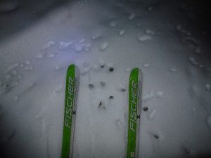 Aufbruch - gleich auf Skiern - um 06.06 Uhr