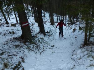 Dürftige Schneelage im Hochwald